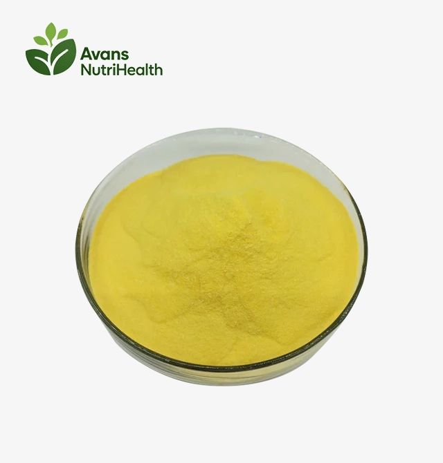 Coenzyme Q10 Powder Bulk